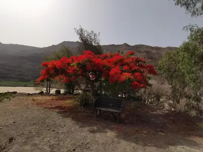 Paisaje cerca de esta casa o chalet