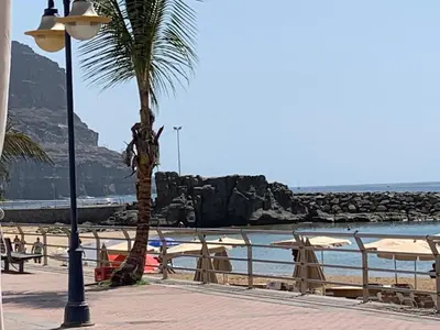 Paisaje cerca de este apartamento