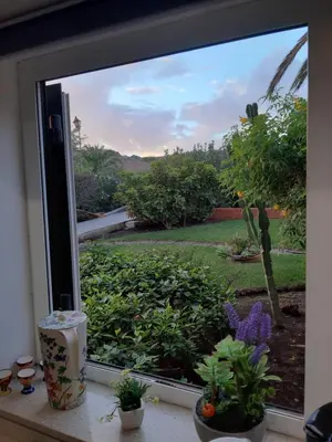 Jardín al aire libre en FeWo Gran-Canaria-ideal - Romeo Feliz