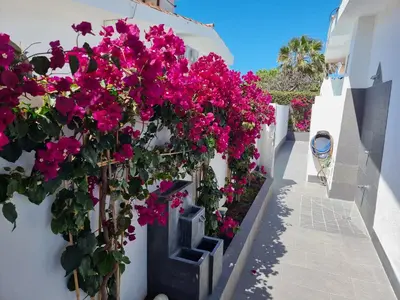 Plano de Espacioso Bungalow 2 dormitorios en Maspalomas