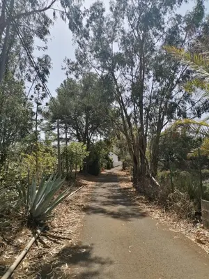Plano de Vv LOS SENDEROS FONTANALES