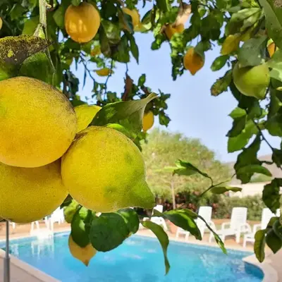Las Esterlicias ( Villa Rural Ecológica )