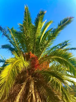 Plano de Finca La Sabina