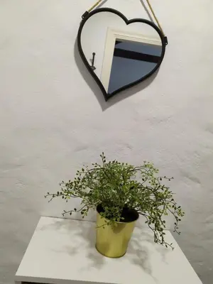 Plano de Moya, Senderos y naturaleza