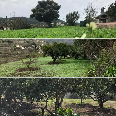 Paisaje cerca de esta villa