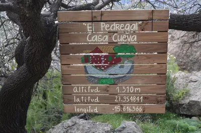 Certificado, premio, señal o documento que está expuesto en Casa Cueva El Pedregal Tejeda