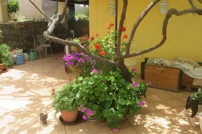 Jardín al aire libre en Finca Cortez Apartment 2