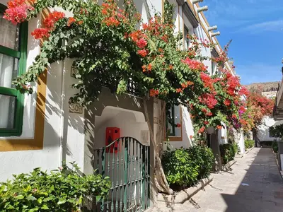 Edificio en el que se encuentra el apartamento