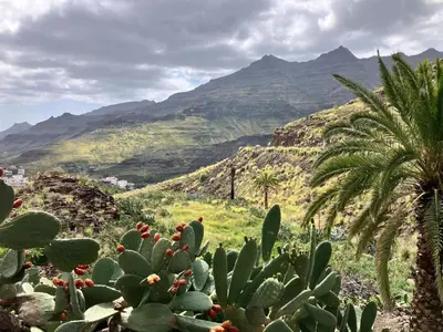 Paisaje cerca de este apartamento