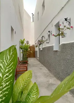Plano de Arguineguin Beach Lux Solarium Petite