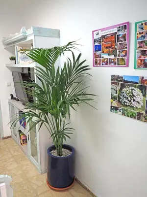 Plano de La Luz Vivienda Vacacional