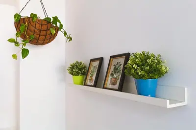 Plano de Apartamento Palmera