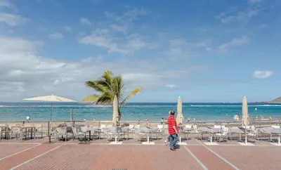 Plano de New and Cute Studio close to the beach.