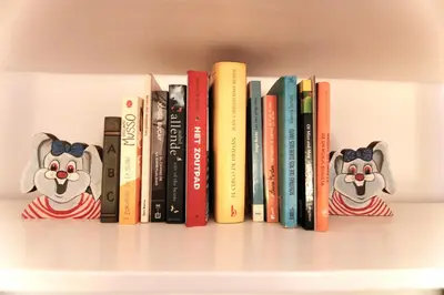 Biblioteca en el hostal o pensión