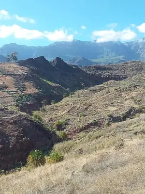 Paisaje cerca of this country house