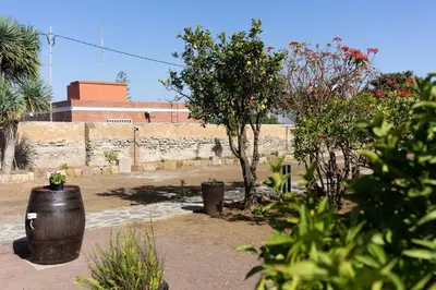 Jardín al aire libre en Albor Suites