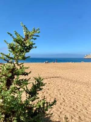 Paisaje cerca de este apartamento