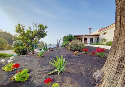 Jardín al aire libre en Villas el Alto