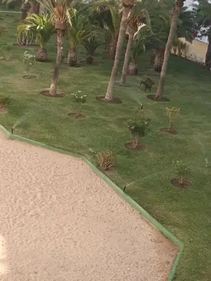 Jardín al aire libre en DAC HOME AGAETE PARQUE