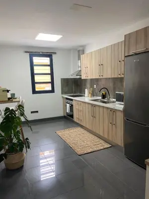 Una cocina o zona de cocina en Canary apartments arava