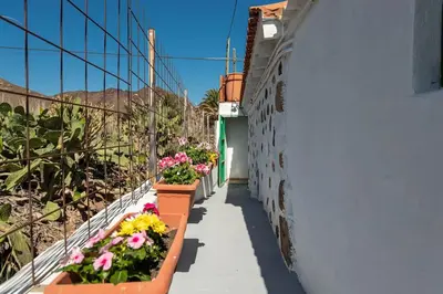 Edificio en el que se encuentra la casa o chalet