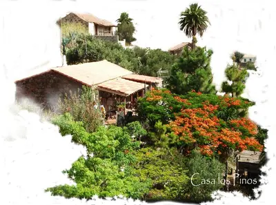 Jardín al aire libre en La Casa de los Pinos Temisas