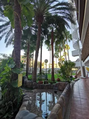 Jardín al aire libre en Cherry Top Cake Apartment