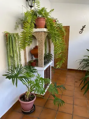 Jardín al aire libre en Casa en Mogán