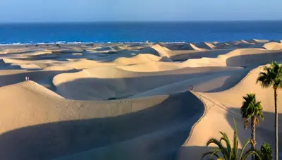 Paisaje cerca de este apartamento