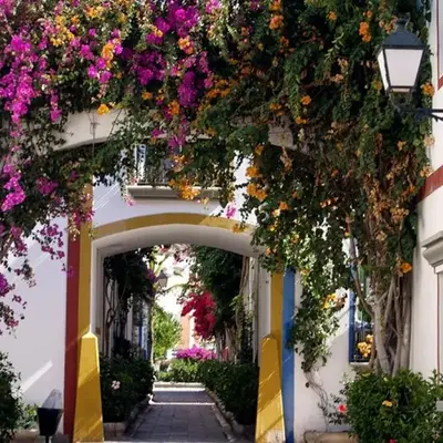 Charming 1 Bedroom Apartment in Puerto de Mogn
