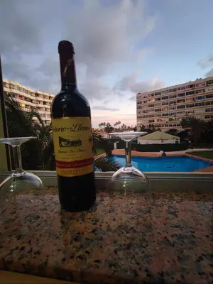 Bebidas en Playa del Ingles Estudio LOS MOLINOS 205