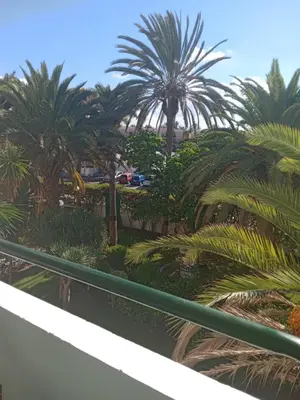 Jardín al aire libre en Surycan Tropical Garden Apartment