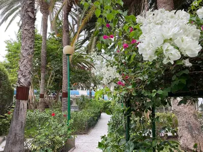 Jardín al aire libre en Surycan Tropical Garden Apartment