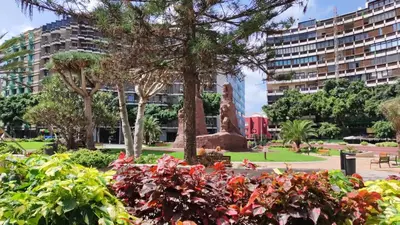 Jardín al aire libre en Poema del Mar