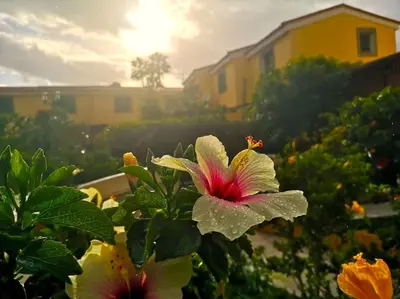 Jardín al aire libre en Bungalow Los Parrales 17