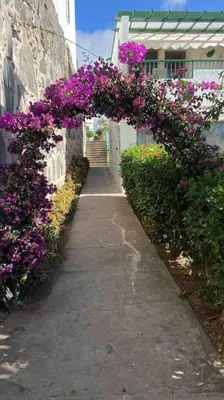 Jardín al aire libre en Apartamento vista mar en Flamboyan - San Agustín