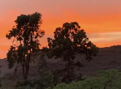 Paisaje cerca de este apartamento