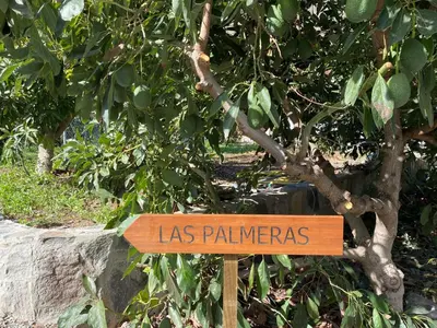 Jardín al aire libre en Finca Aquilino y Carmen