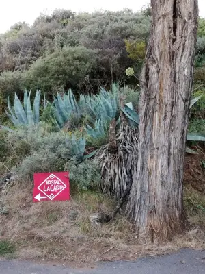 Jardín al aire libre en La Casita