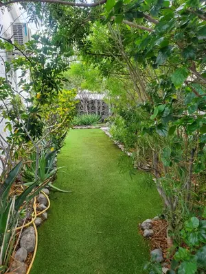 Jardín al aire libre en Très BEAU BUNGALOW,JARDIN TROPICAL, RENOVATION ETE 2020