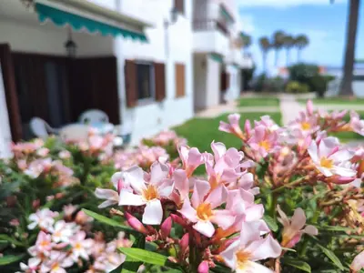 Jardín al aire libre en Los Balandros 116
