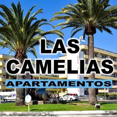 Las Camelias Apartments