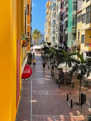 El barrio de los alrededores o un barrio cerca de este apartamento