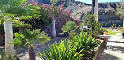 Jardín al aire libre en VILLA DE LUXE 5***** golf - piscine chauffée - home cinéma - billard