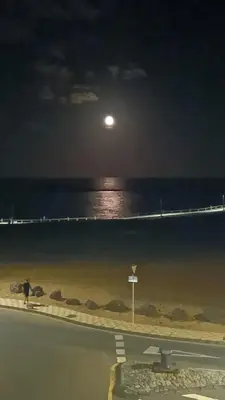 Paisaje cerca de este apartamento
