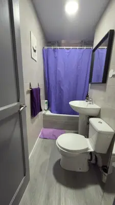Un baño de vivienda Acerina