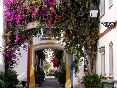 El barrio de los alrededores o un barrio cerca de este apartamento